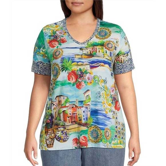 NEW JOHNNY WAS janie favorite short sleeve v-neck tee - plus in christy - Picture 1 of 3